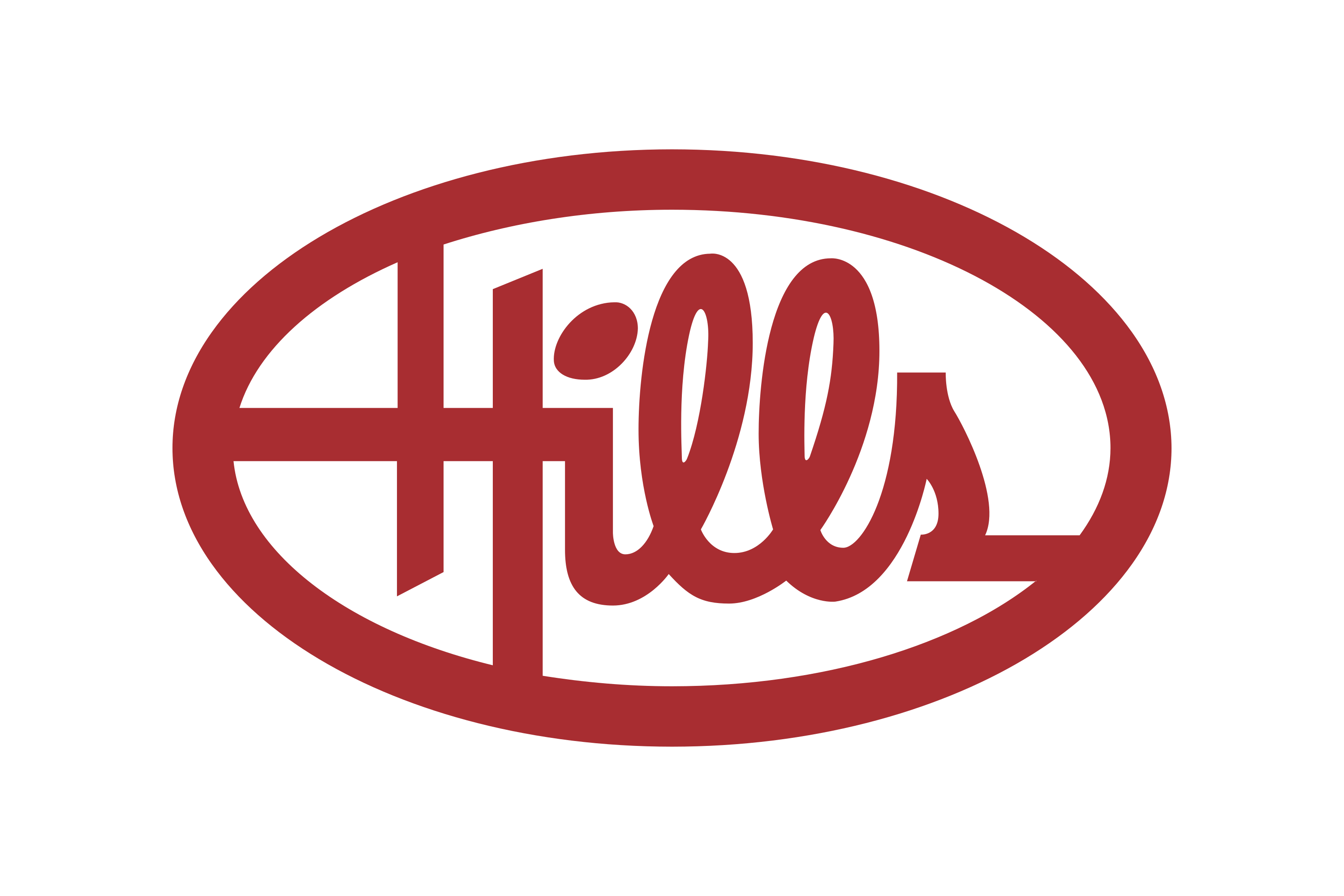 Download Hills Logo PNG