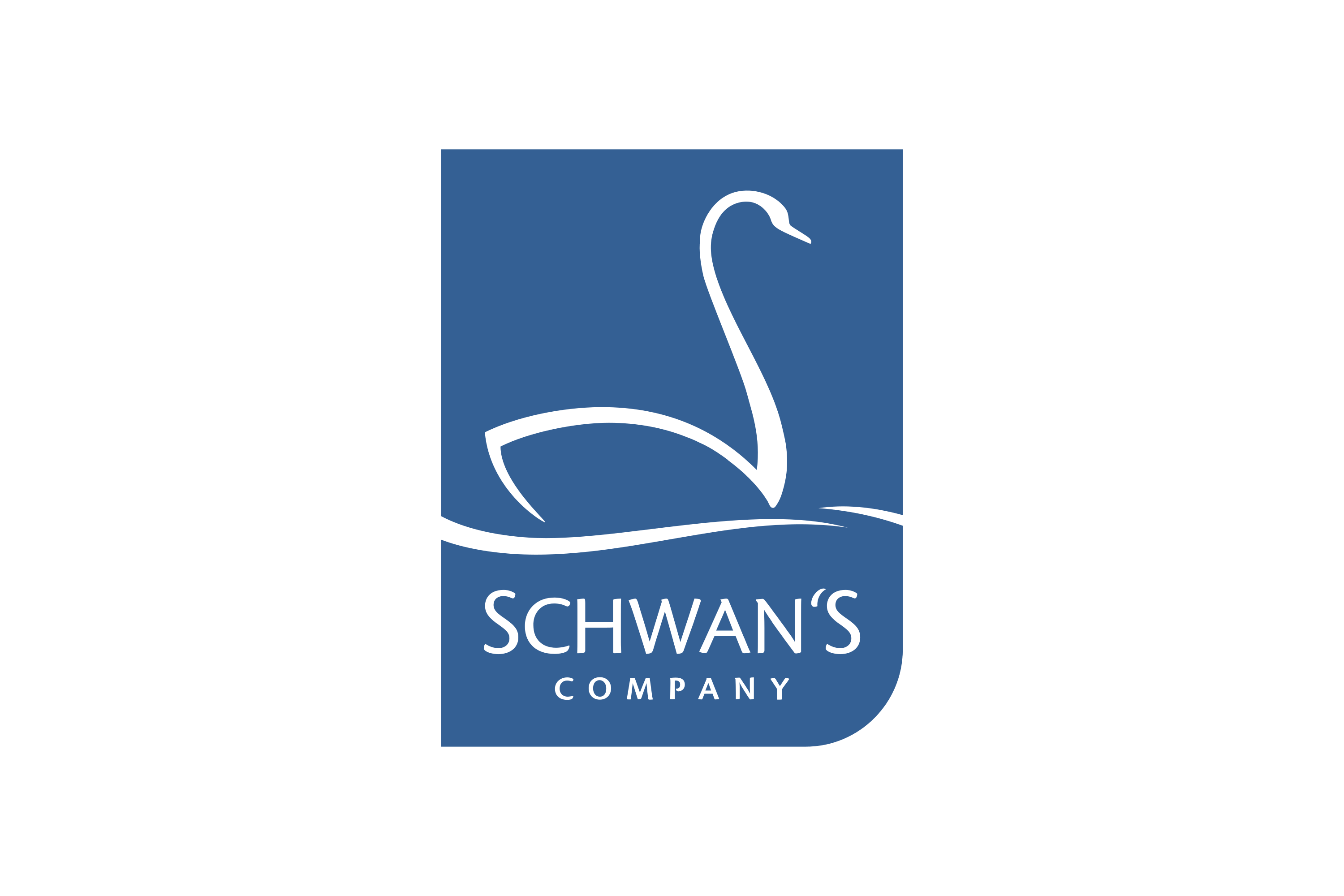 Download Schwan’s Company Logo PNG