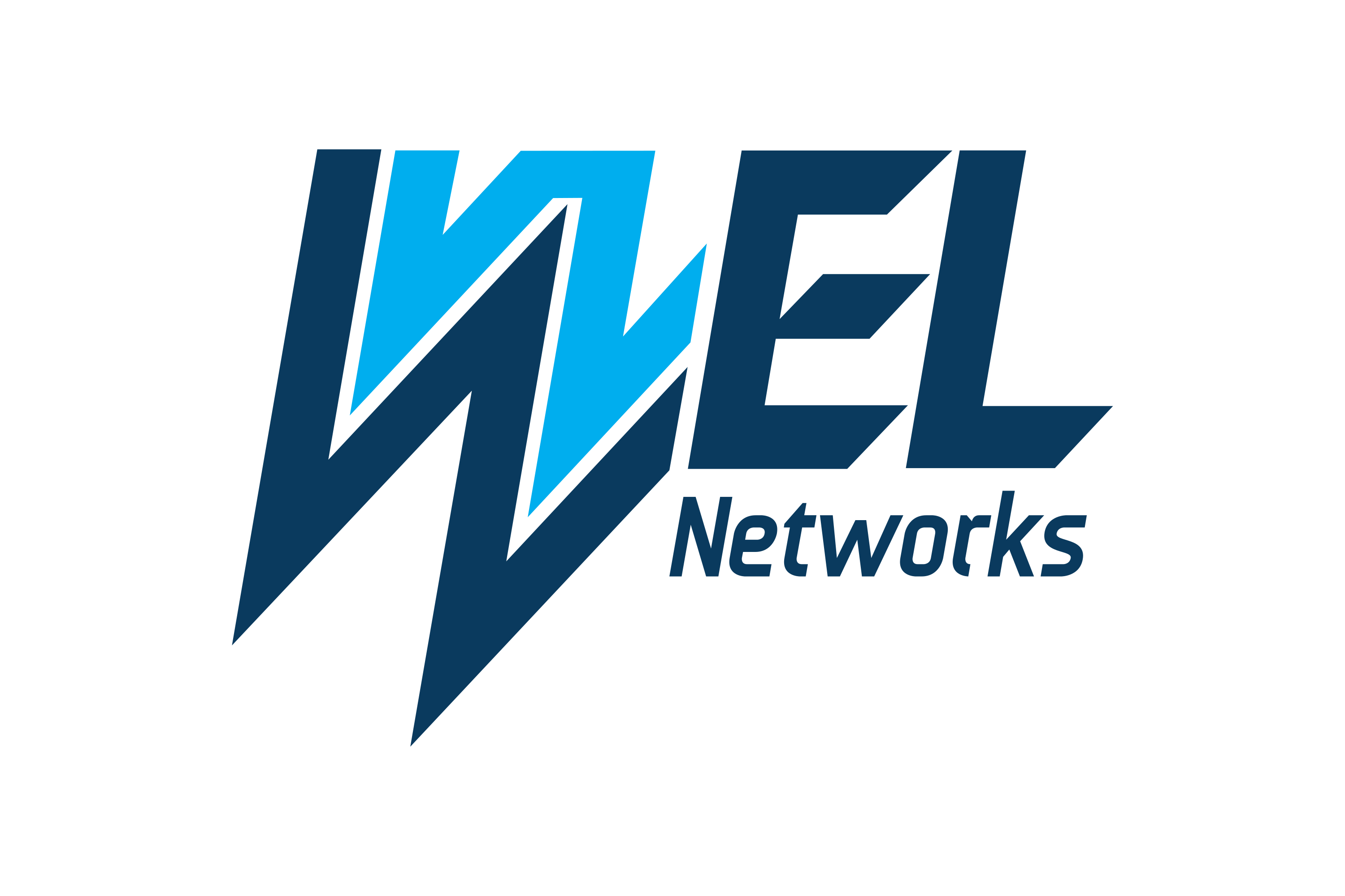 WEL Networks Logo PNG