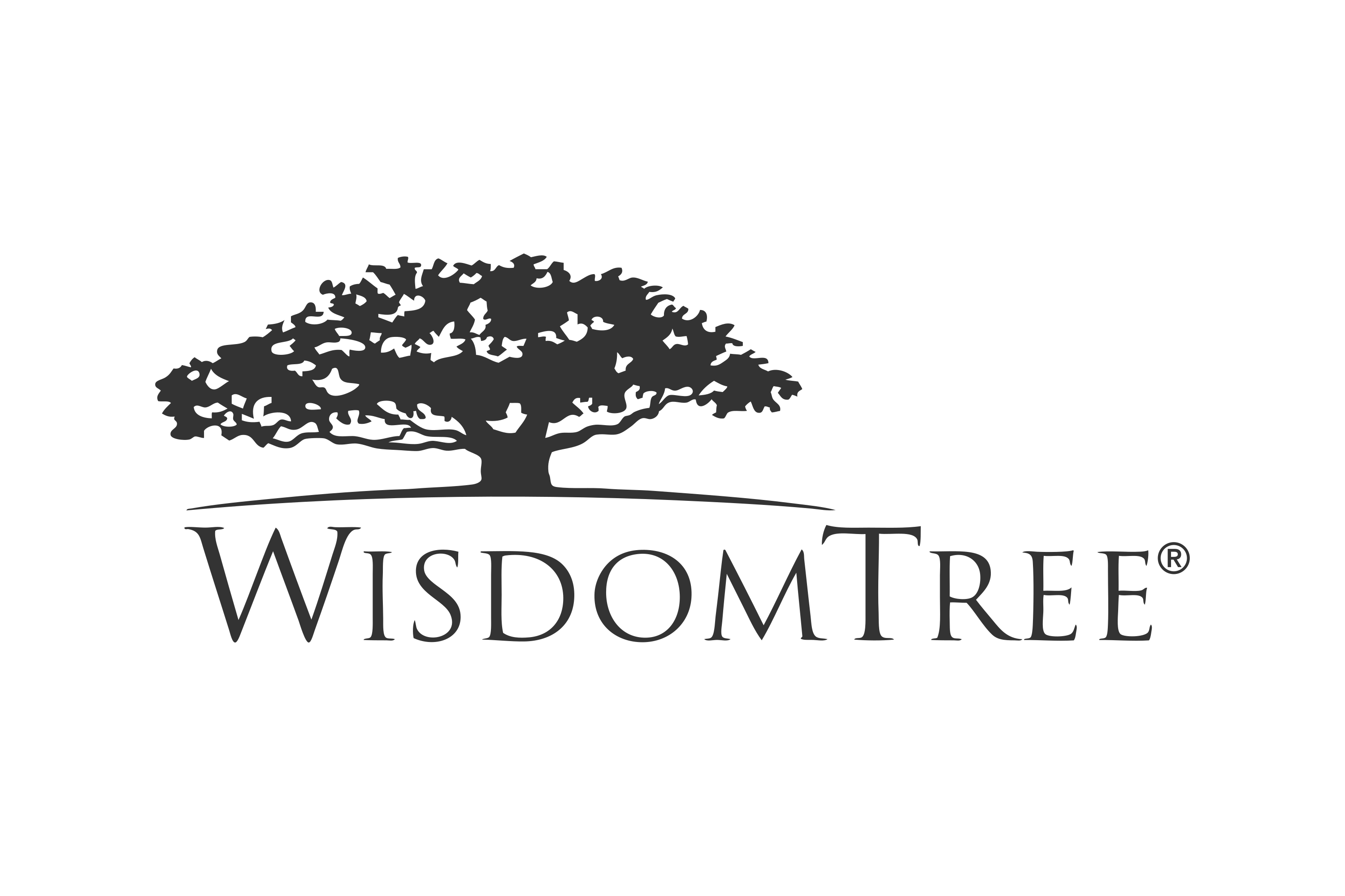 WisdomTree Investments Logo PNG