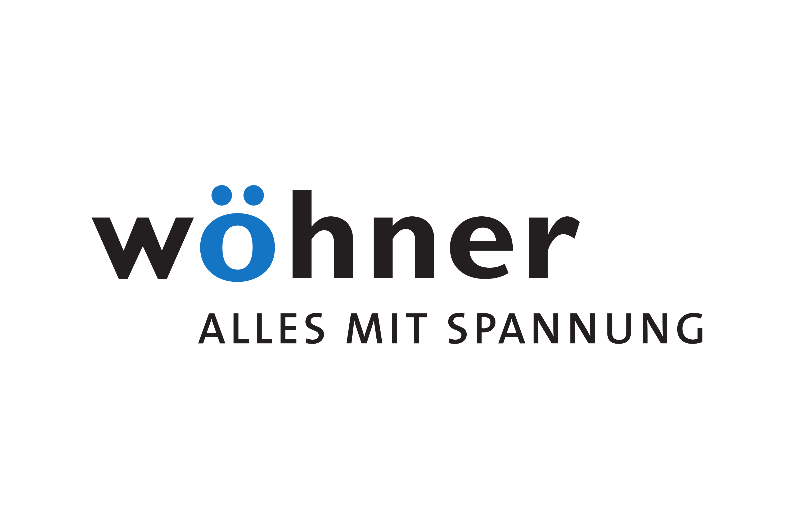 Wohner GmbH & Co. KG Logo PNG