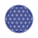 The flower of life Logo PNG